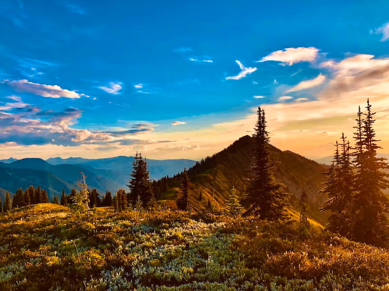 Mountain landscape with green shrubs and tall pine trees under a blue sky at sunset.  kootenay gravel biking and hiking