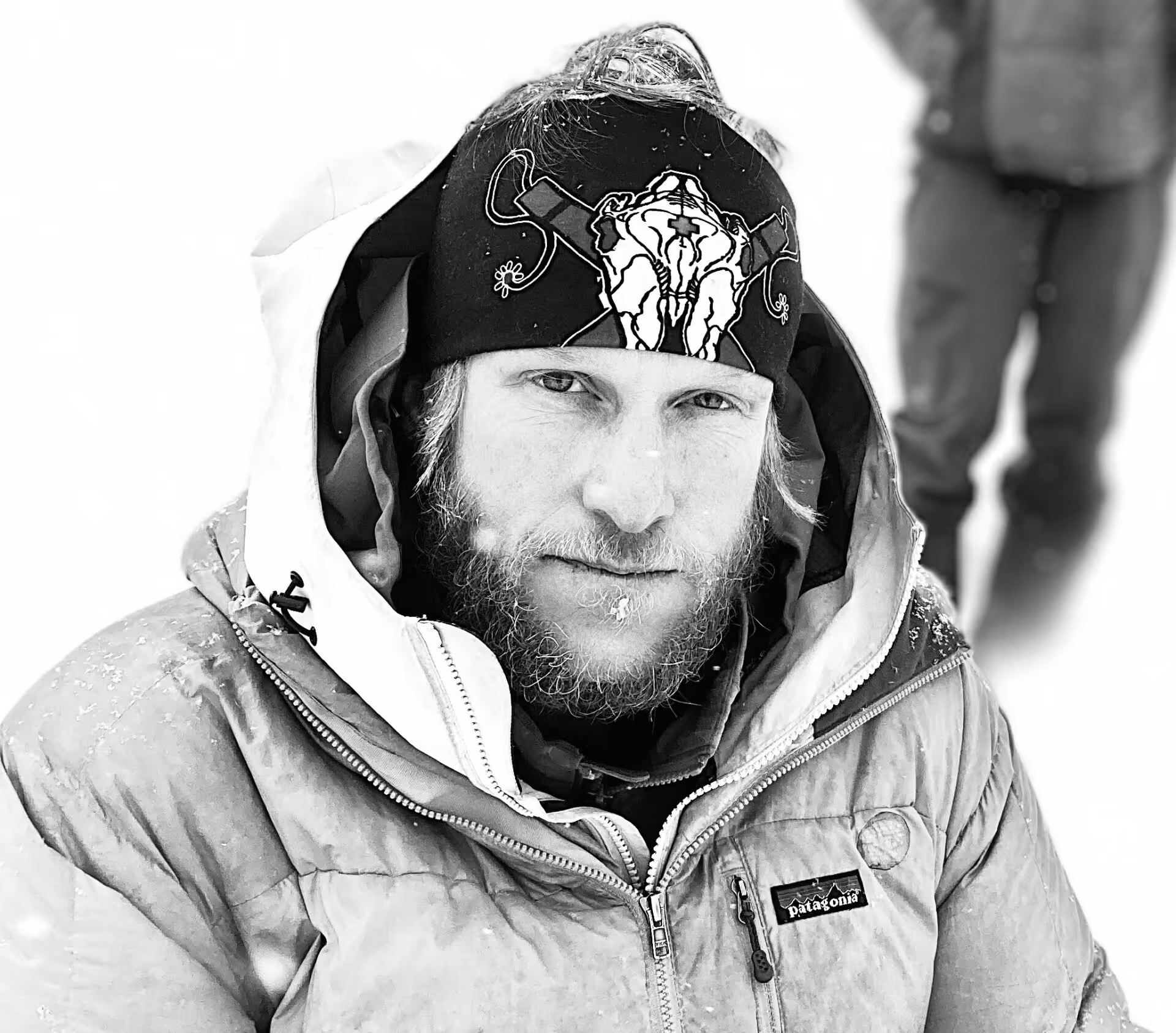 Acmg ski guide