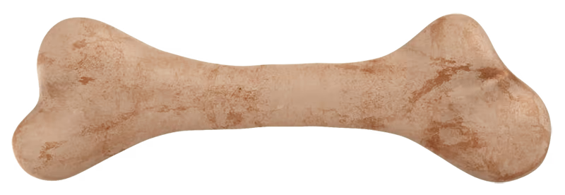 bone