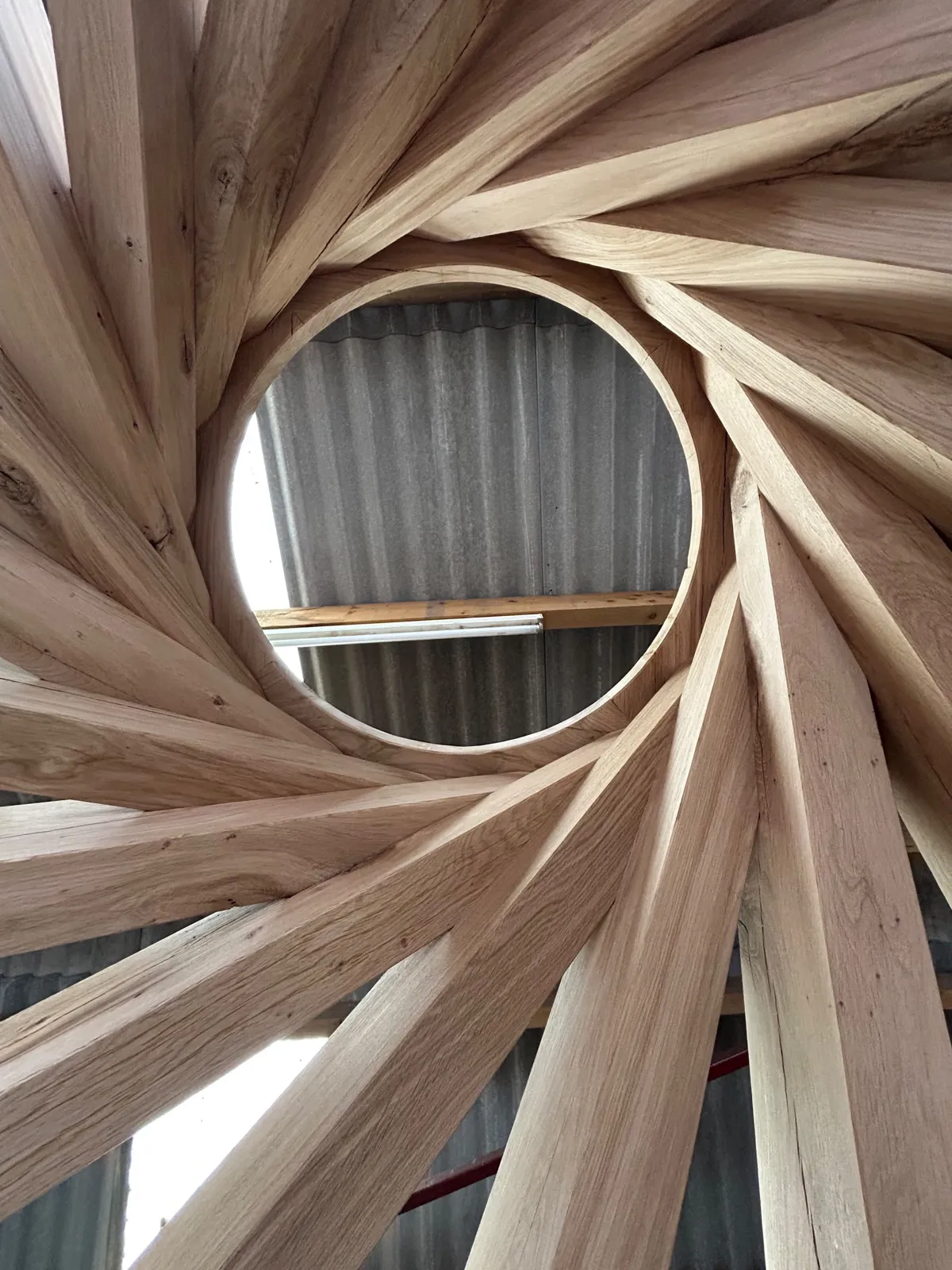 Looking up through the open crown of the 3 m Worl in our workshop