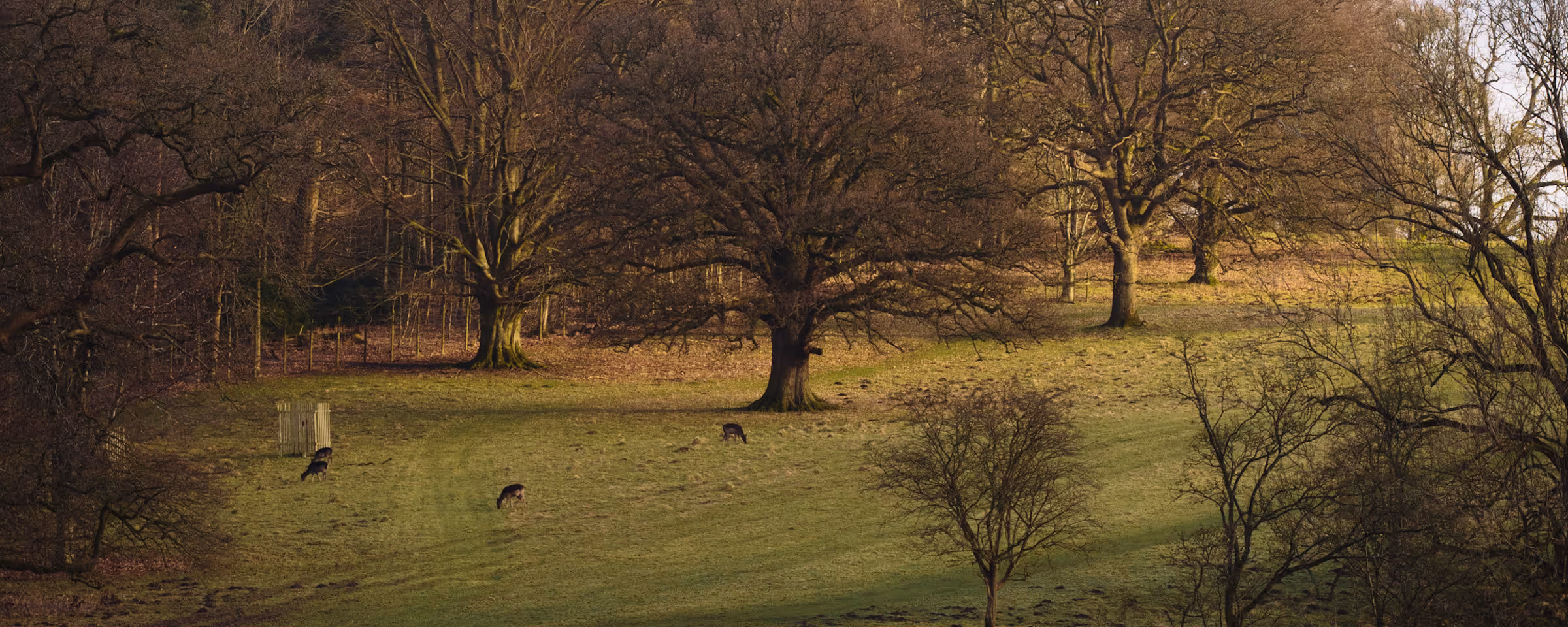 Levens Deer Park