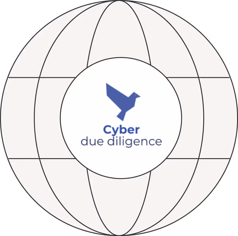 Cyber Due Diligence
