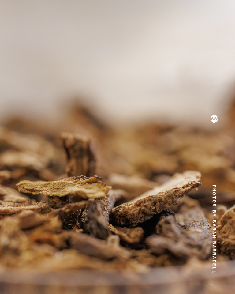 Close-up of dried root or bark pieces with a blurred background, showing textured brown surfaces.