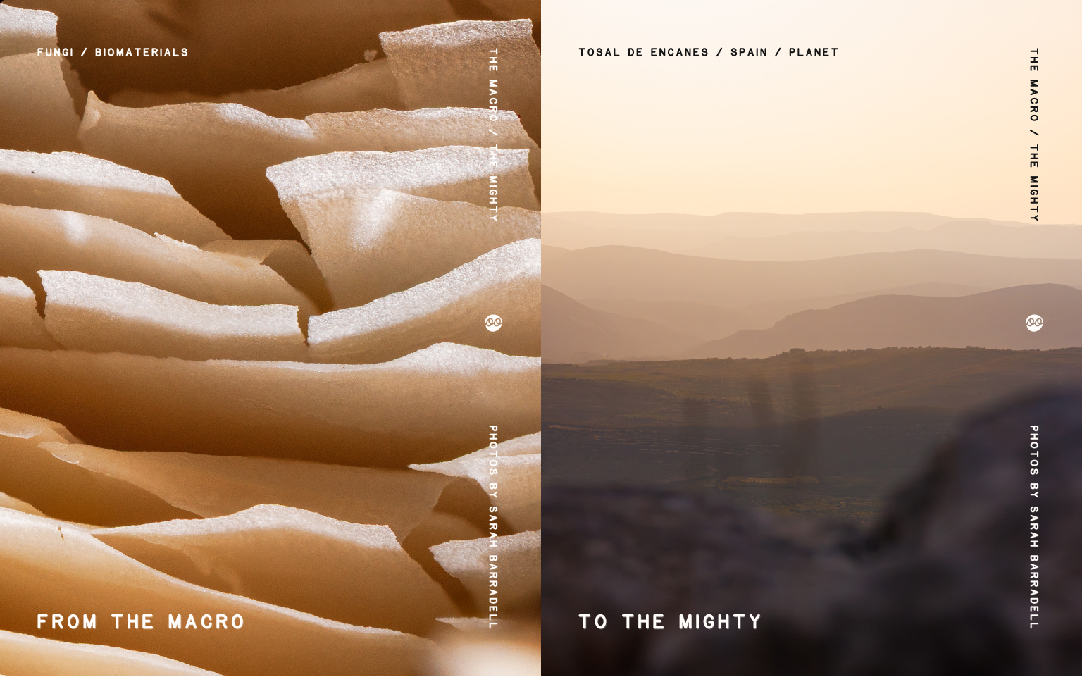 Close-up of pale fungal biomaterial beside a hazy mountain landscape, showing how tiny material choices connect to mighty landscapes and wider planetary systems.