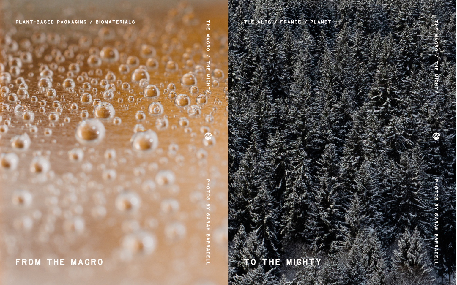 Close-up of water droplets on plant-based packaging beside an Alpine forest in France, linking small material innovations to the mighty natural systems they can help protect.
