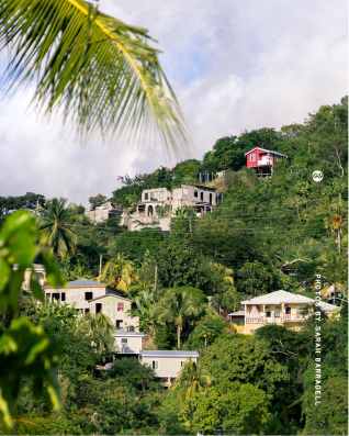 View of hillside houses surrounded by dense green tropical foliage, with a prominent red house near the top and palm fronds in the foreground under a partly cloudy sky.