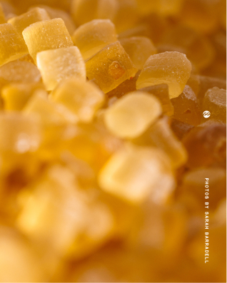 Close-up image of coarse golden nurdles clustered together, showing their translucent texture and varied shapes. From a shoot with Kelpi, who are creating a seaweed-based alternative to plastic sachets. 
