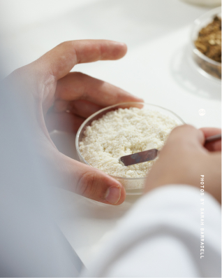 Person holding a small dish filled with white powder and using a small spatula to scoop some of it.