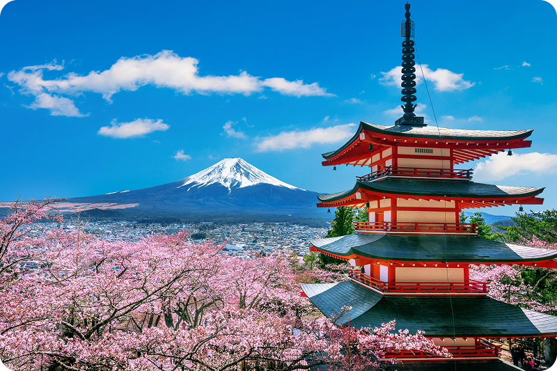 Templos, bosques de bambú y ciudades de Japón durante el recorrido de quince días con guía en español