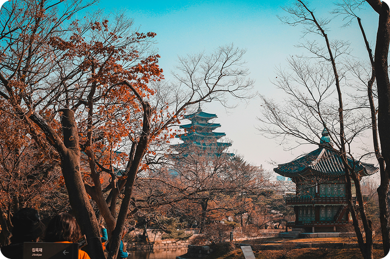 Palacio en Corea rodeado de árboles con hojas de otoño