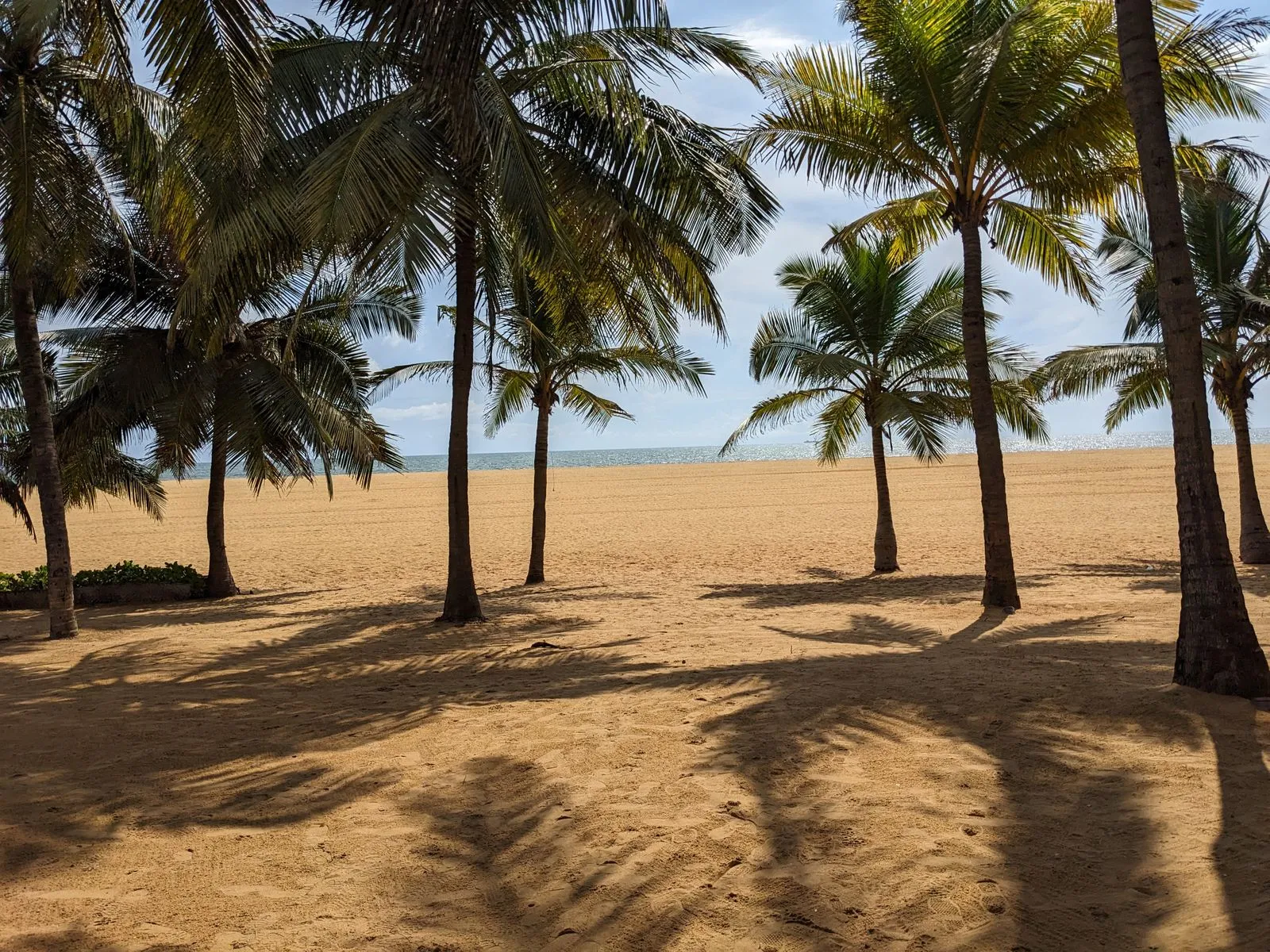 Playa de Negombo, Sri Lanka