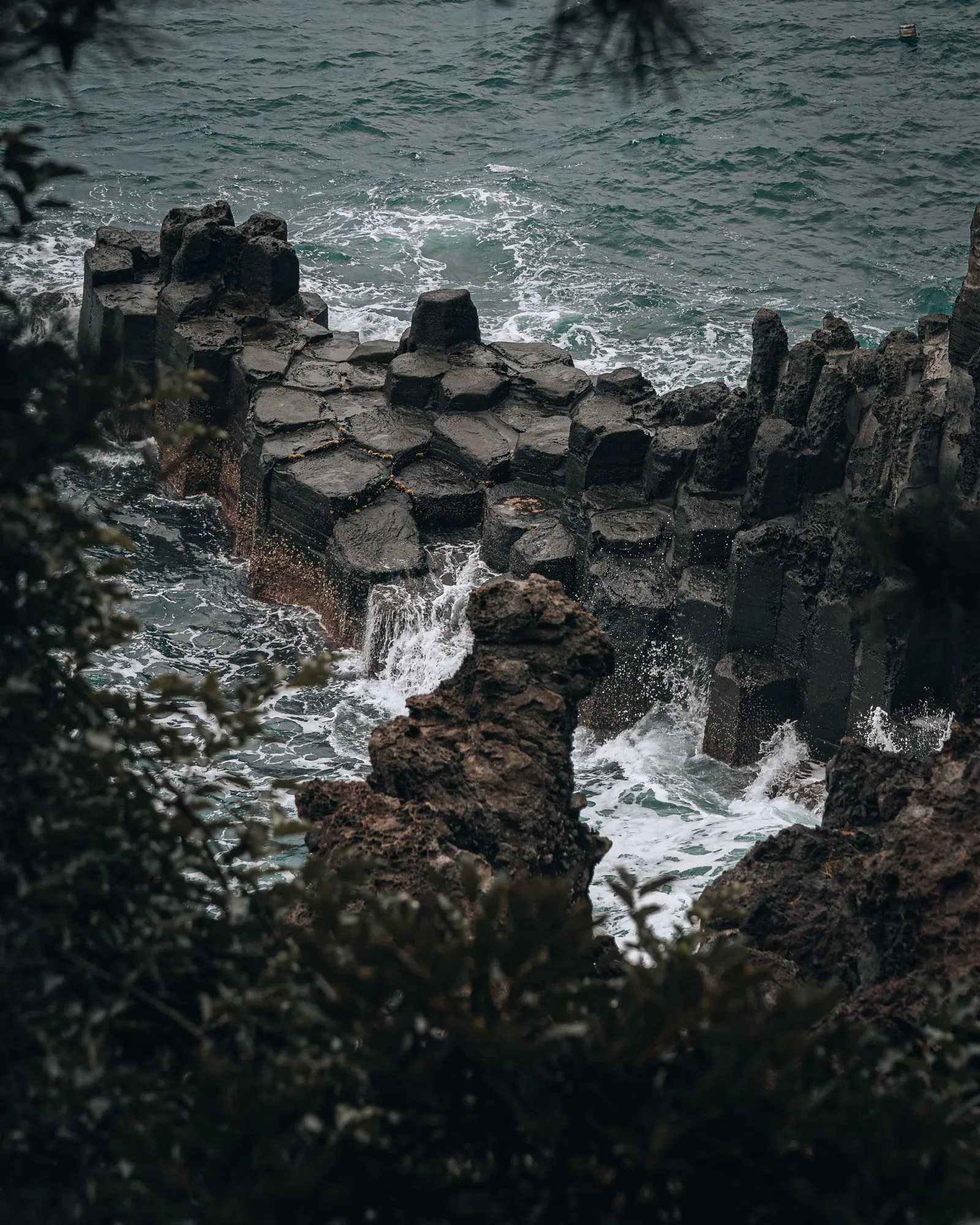 Columnas de basalto en la costa de Jeju, Corea del Sur
