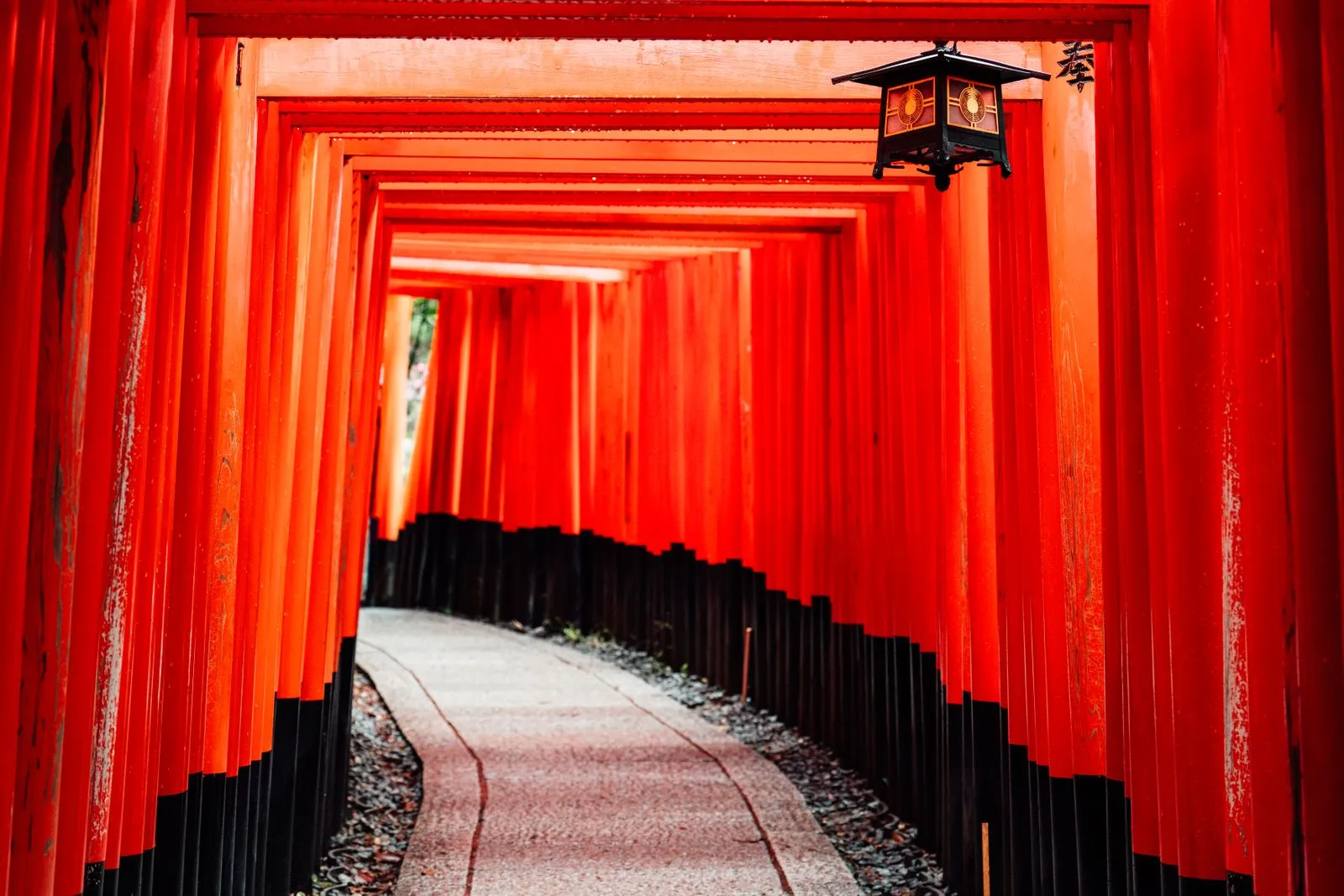 Puertas torii del santuario Fushimi Inari en Kioto