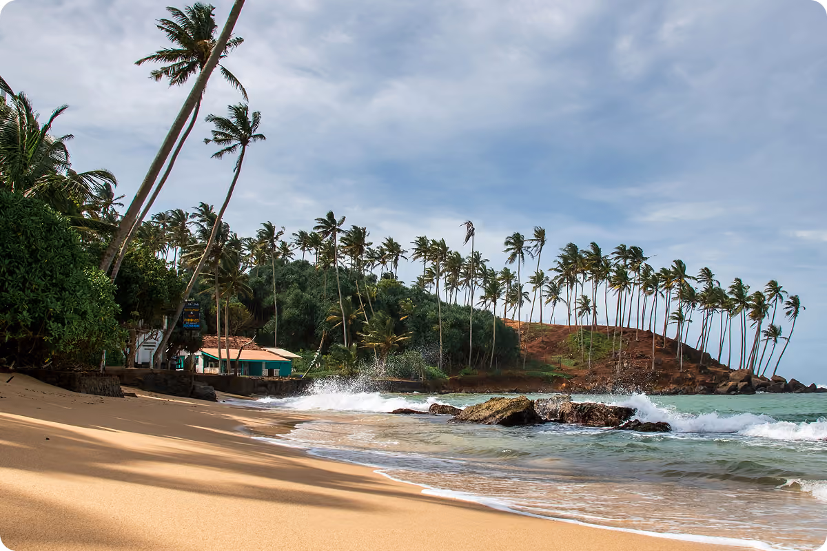 Playa bordeada de palmeras en Sri Lanka