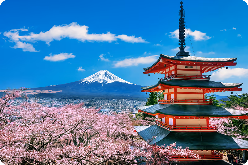 Templos, bosques de bambú y ciudades de Japón durante el recorrido de quince días con guía en español