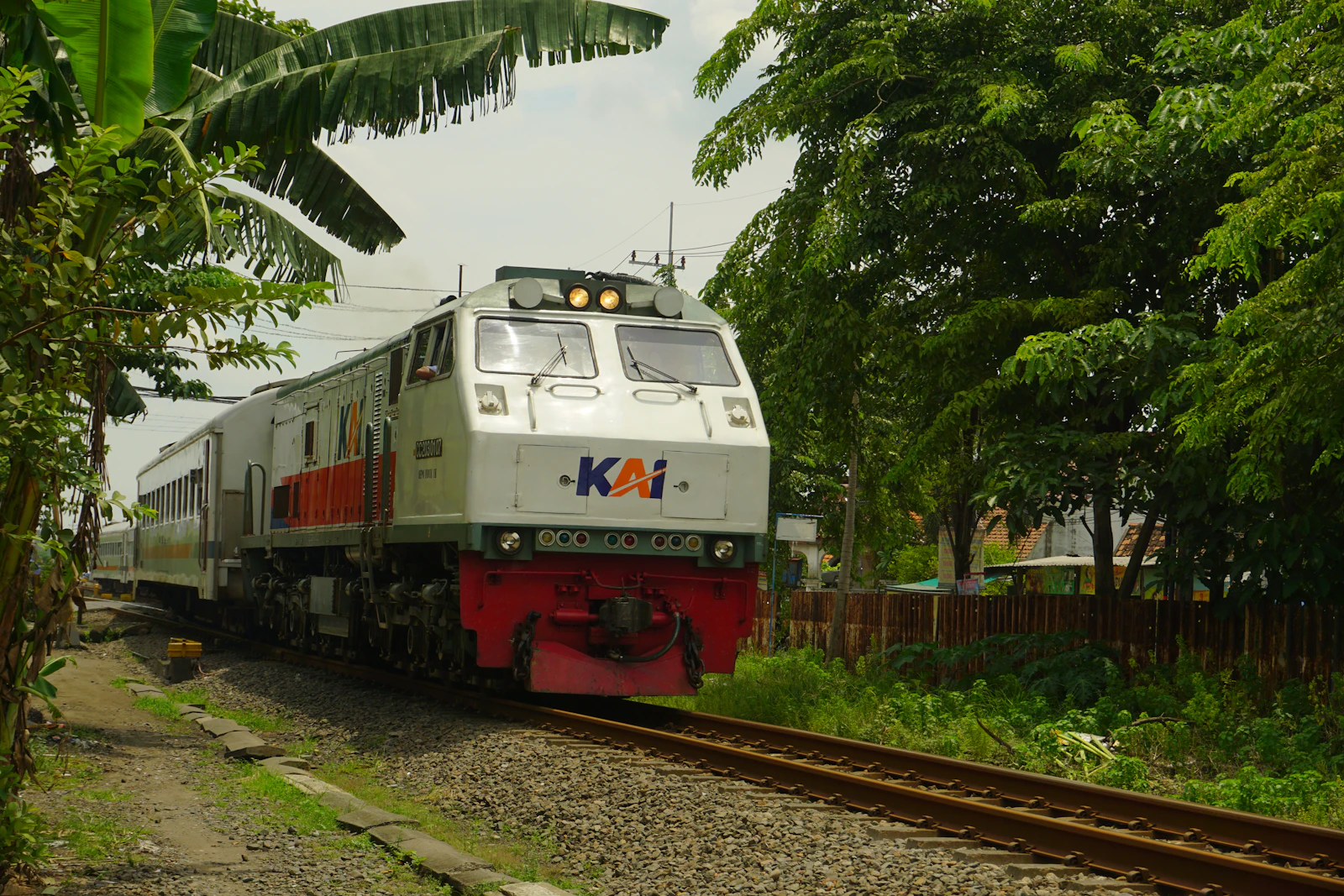 Tren indonesio atravesando el campo verde de Java camino a Malang