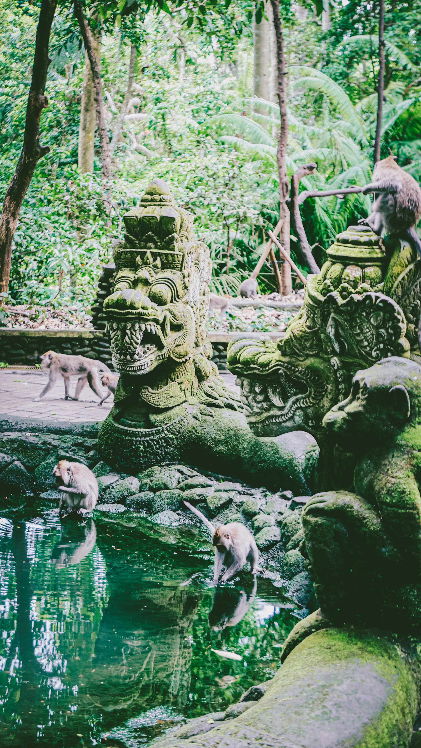Estatuas de piedra entre la selva del Bosque de los Monos de Ubud, Bali