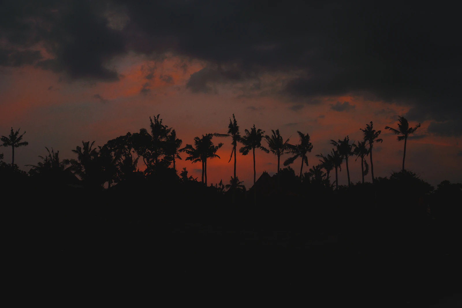 Silueta de palmeras al atardecer en Bali, Indonesia