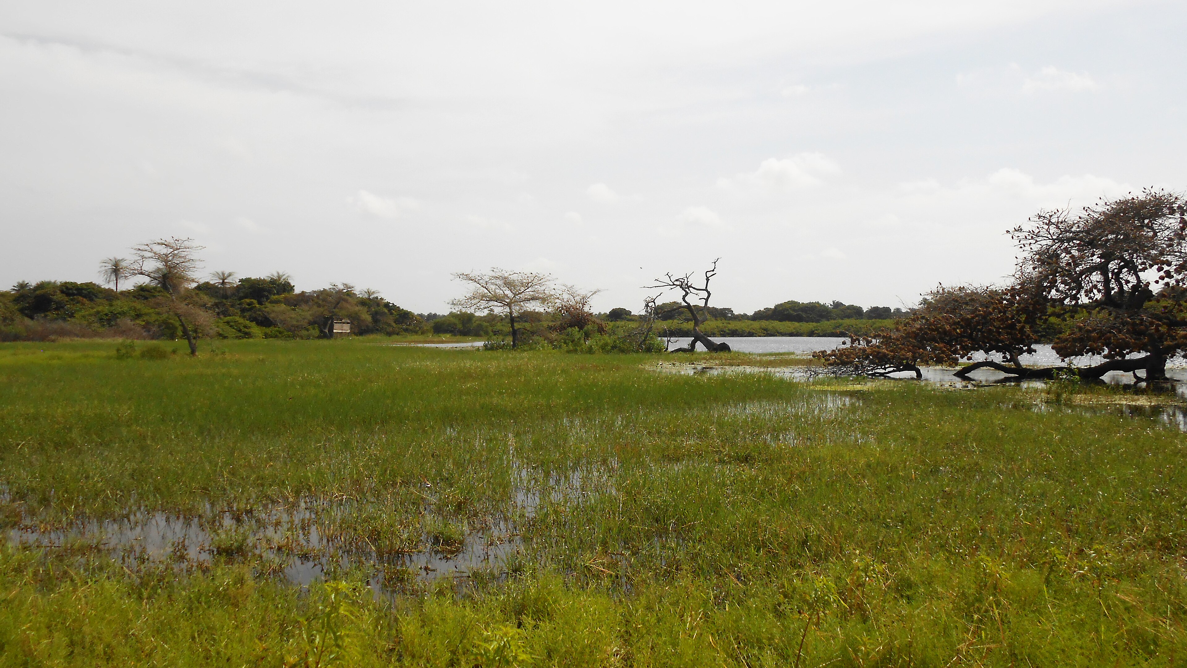 Laguna con hipopótamos, Parque Nacional de Orango
