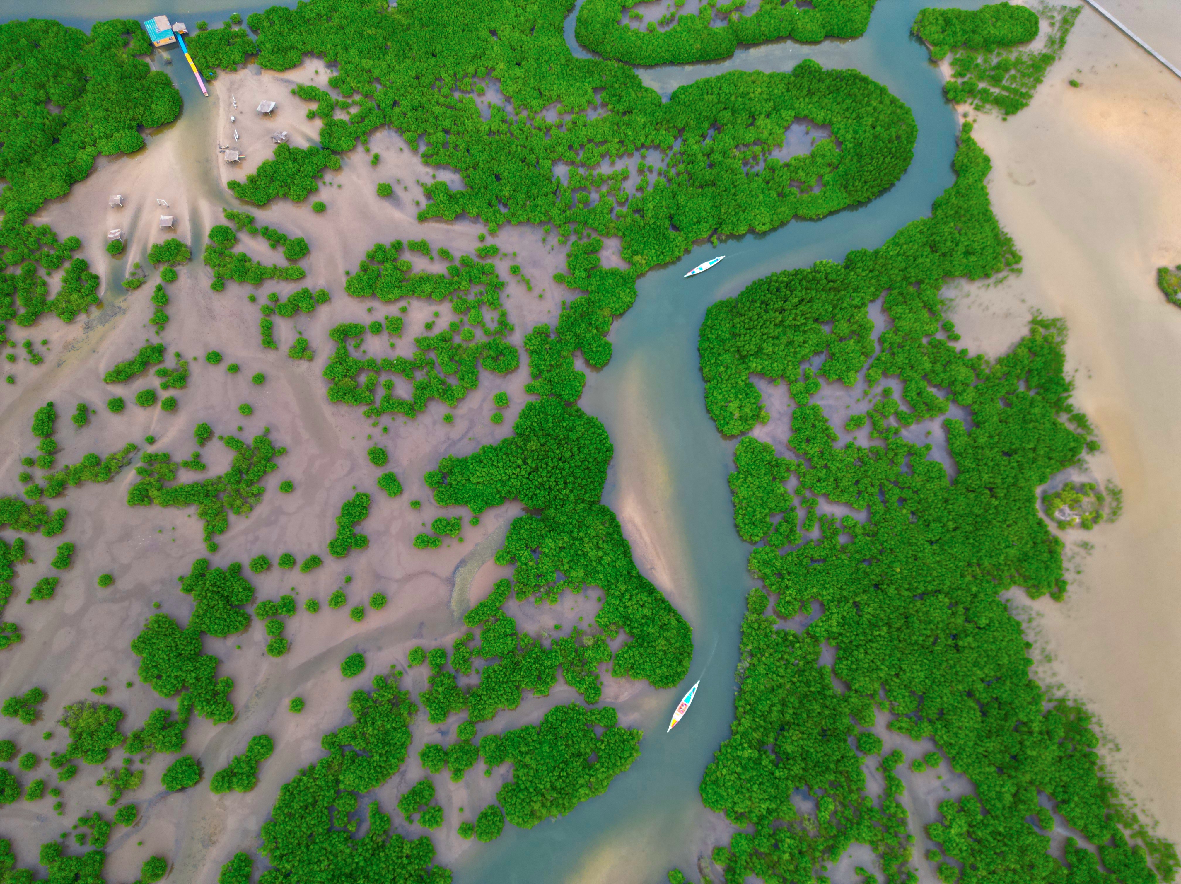 Delta del Saloum, Senegal