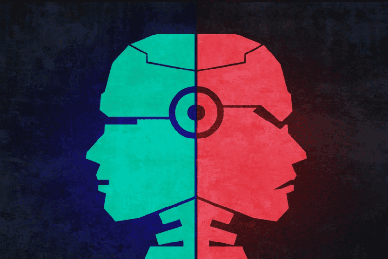 Botmasters Unveiled: Exploring the Dual Role of Botnets in Today's Digital Landscape