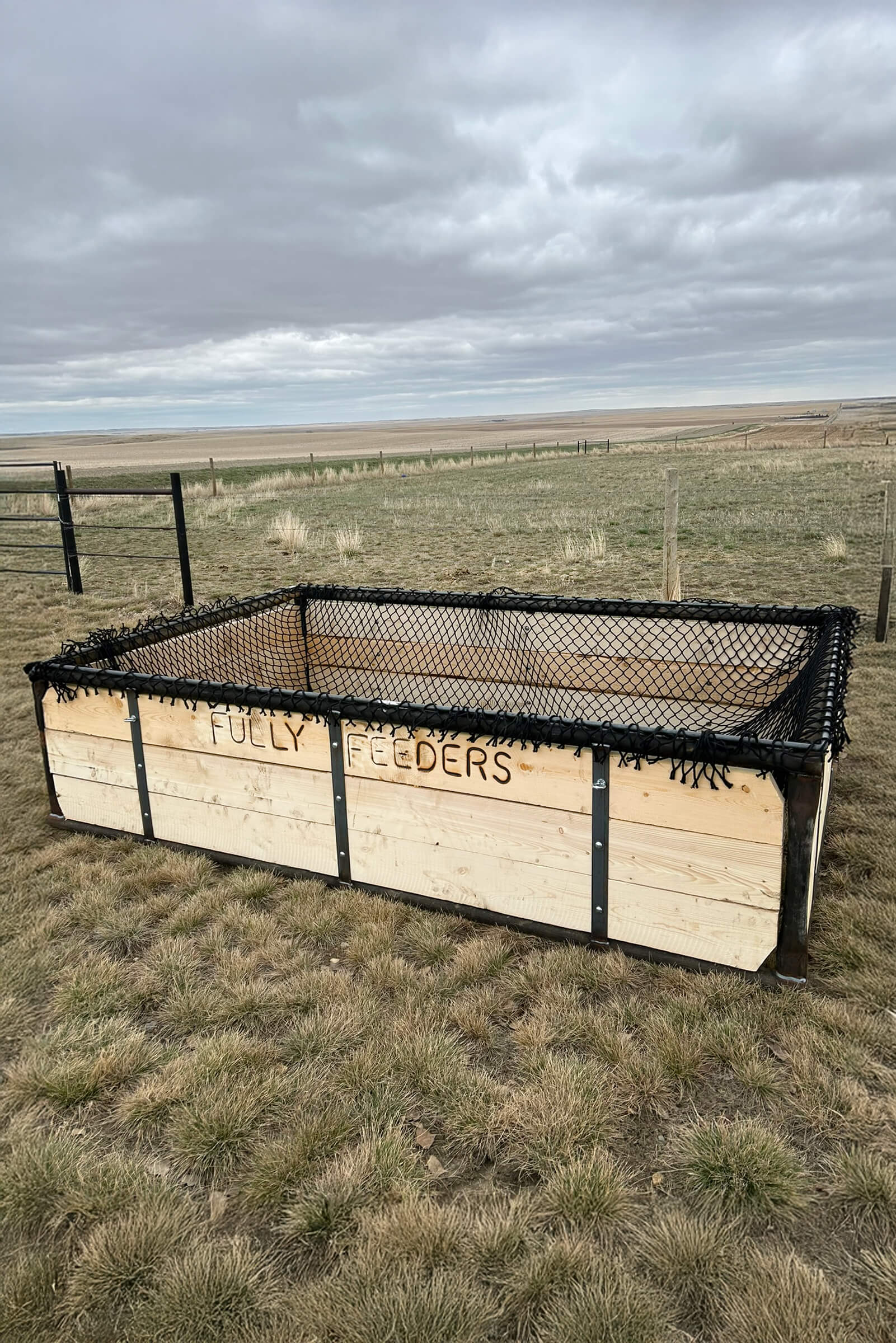 Square Feeder