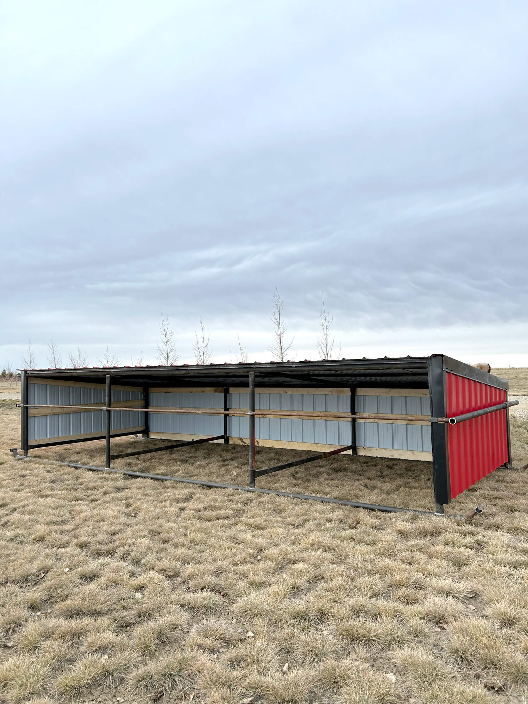 Calf Shelter