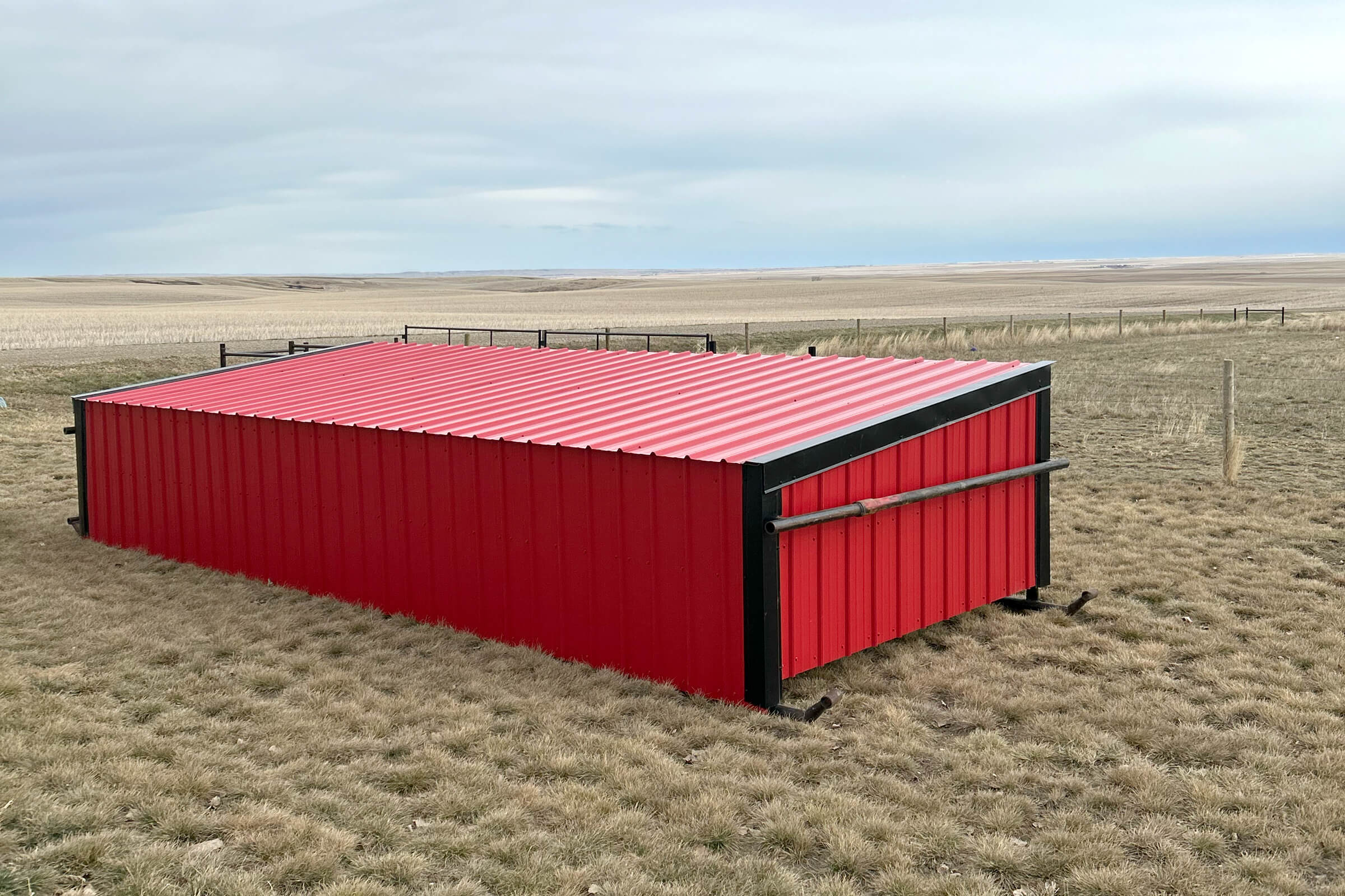Calf Shelter