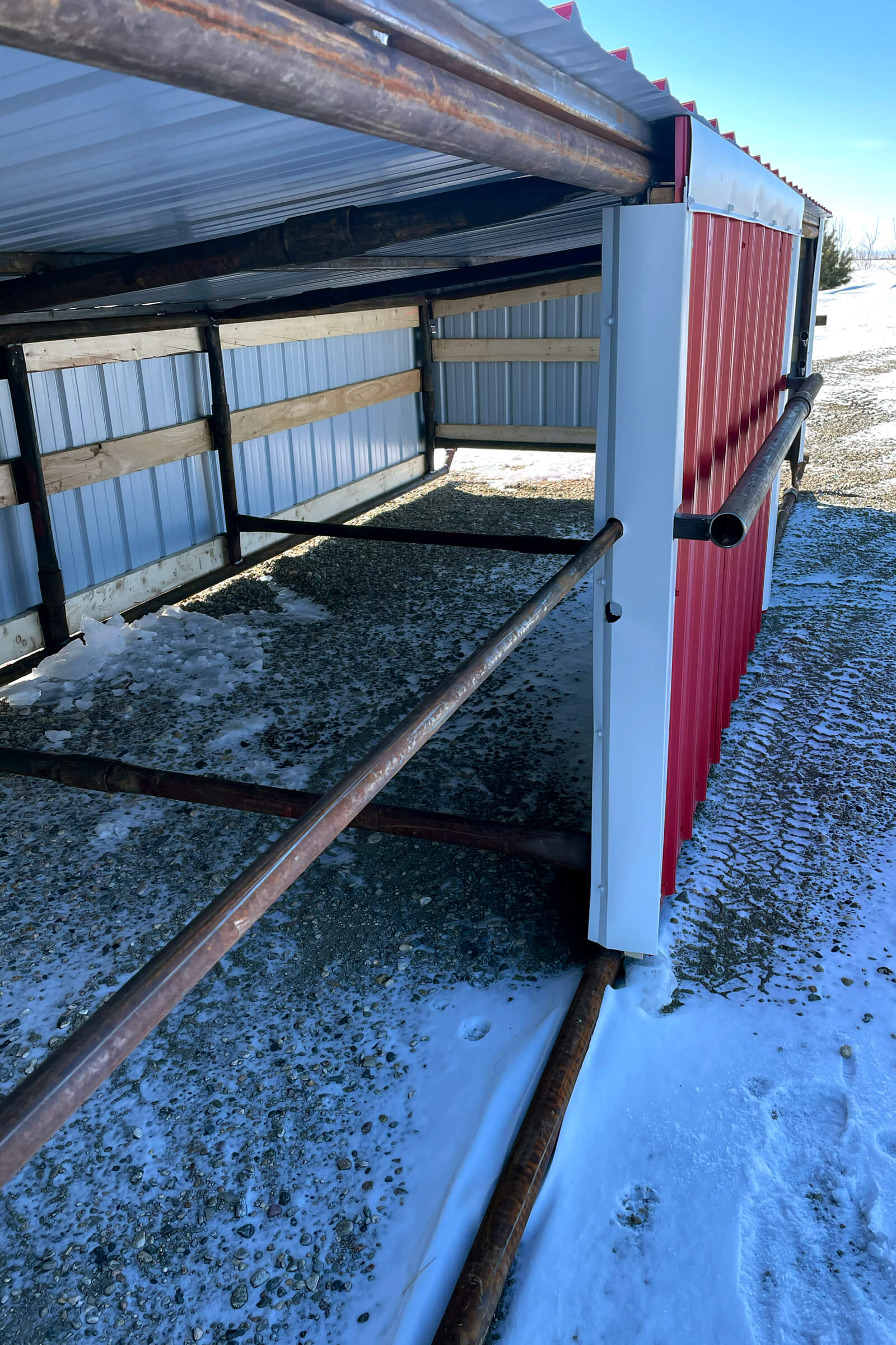 Calf Shelter