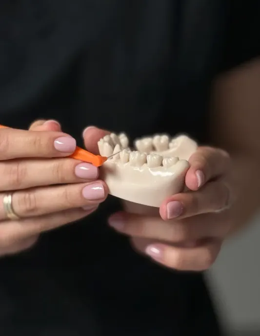 Hands holding a dental model and using an orange tool to demonstrate teeth cleaning.