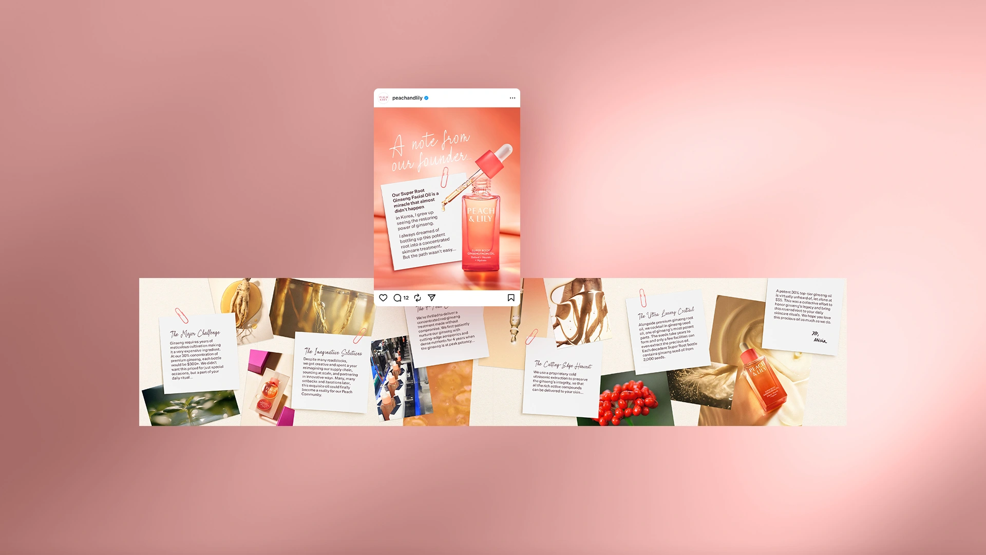 A curated mood board-style collage of Peach & Lily Instagram content including lifestyle photography, product shots, and campaign posts.