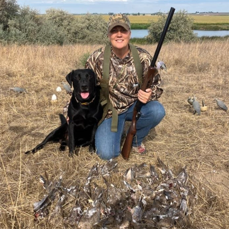 Black Labrador from Water Walker Labs sitting next to a hunter with a pile of harvested waterfowl in a prairie field.