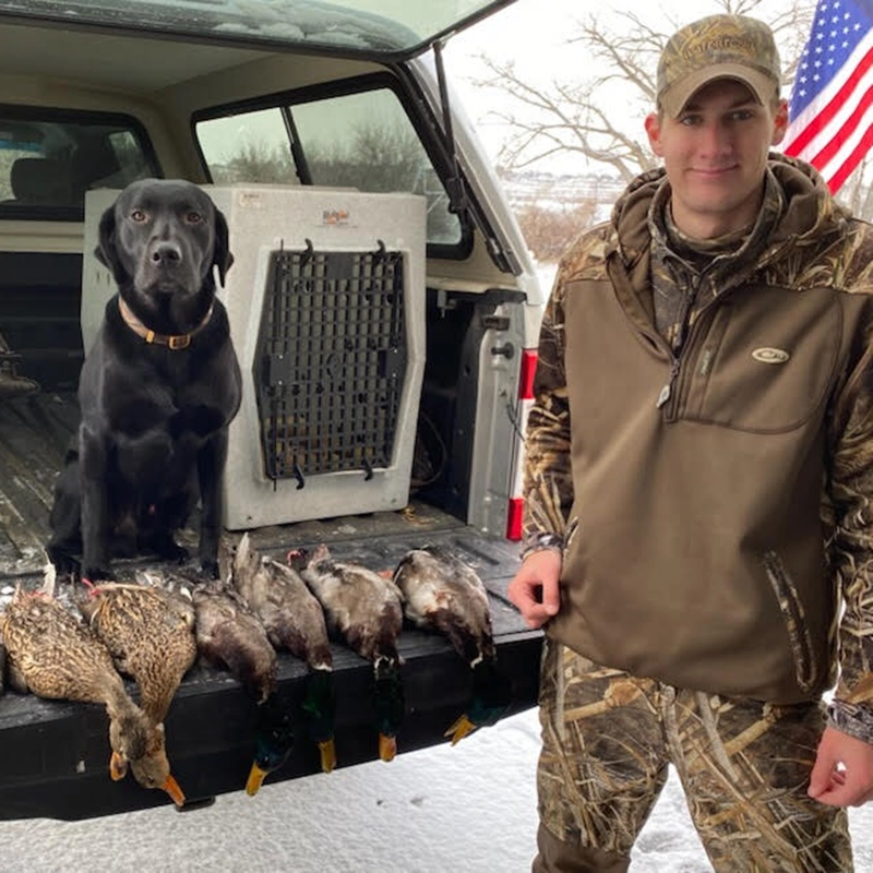 Black Labrador from Water Walker Labs on a truck tailgate next to a young hunter and a row of mallard ducks in winter.