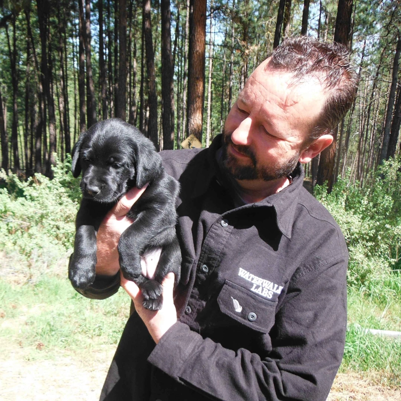 Co-owner Jason Stevenson of Water Walker Labs holding a black Labrador puppy outdoors in a pine forest.