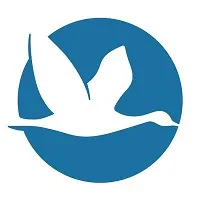 Internations company logo