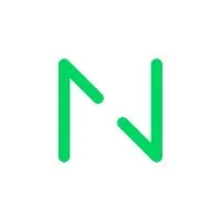 Netguru company logo