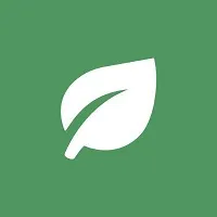 Rainforest company logo