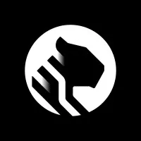 Tiger Data company logo