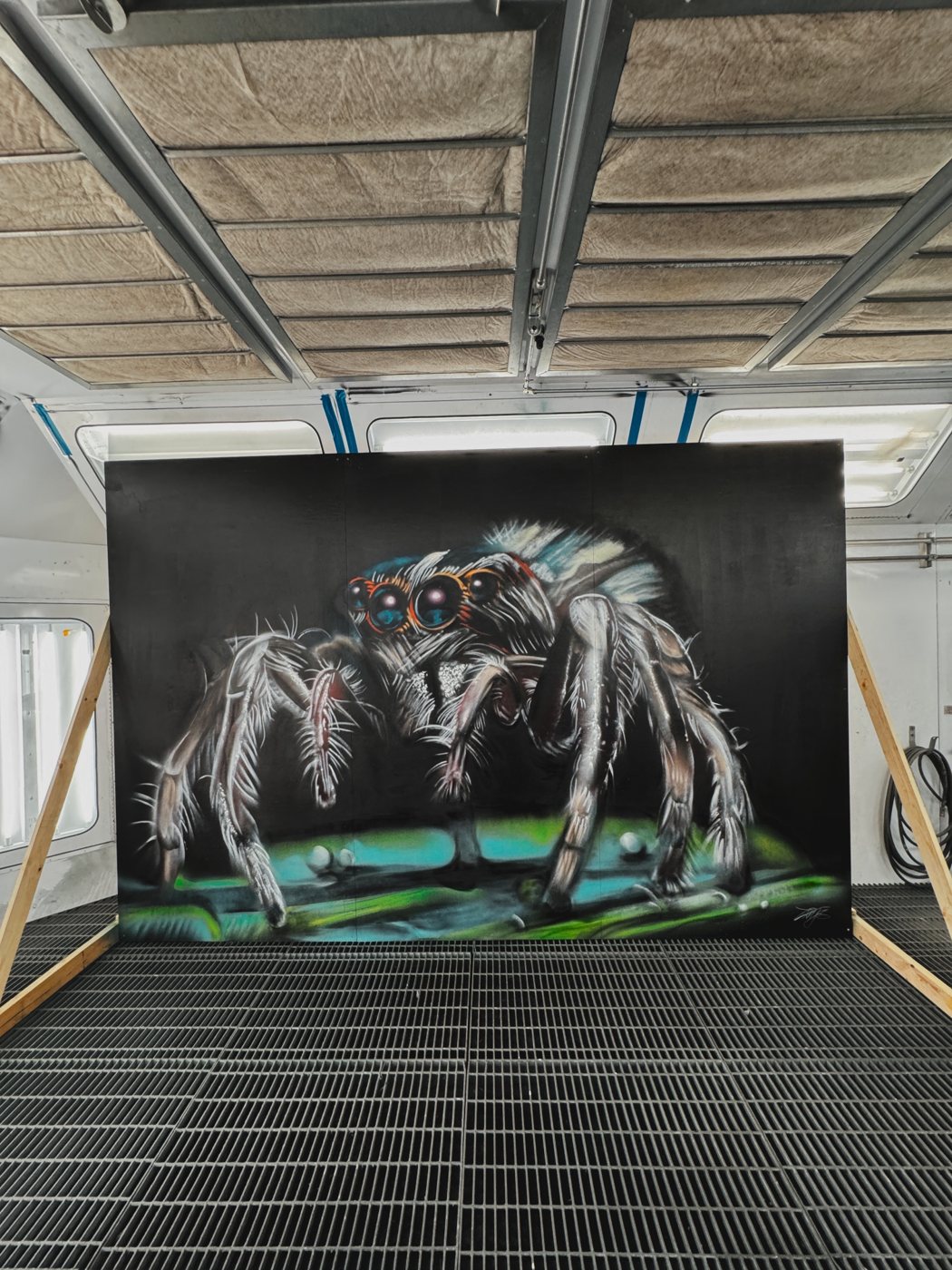 Jumping spider mural on panels, painted by TRYS