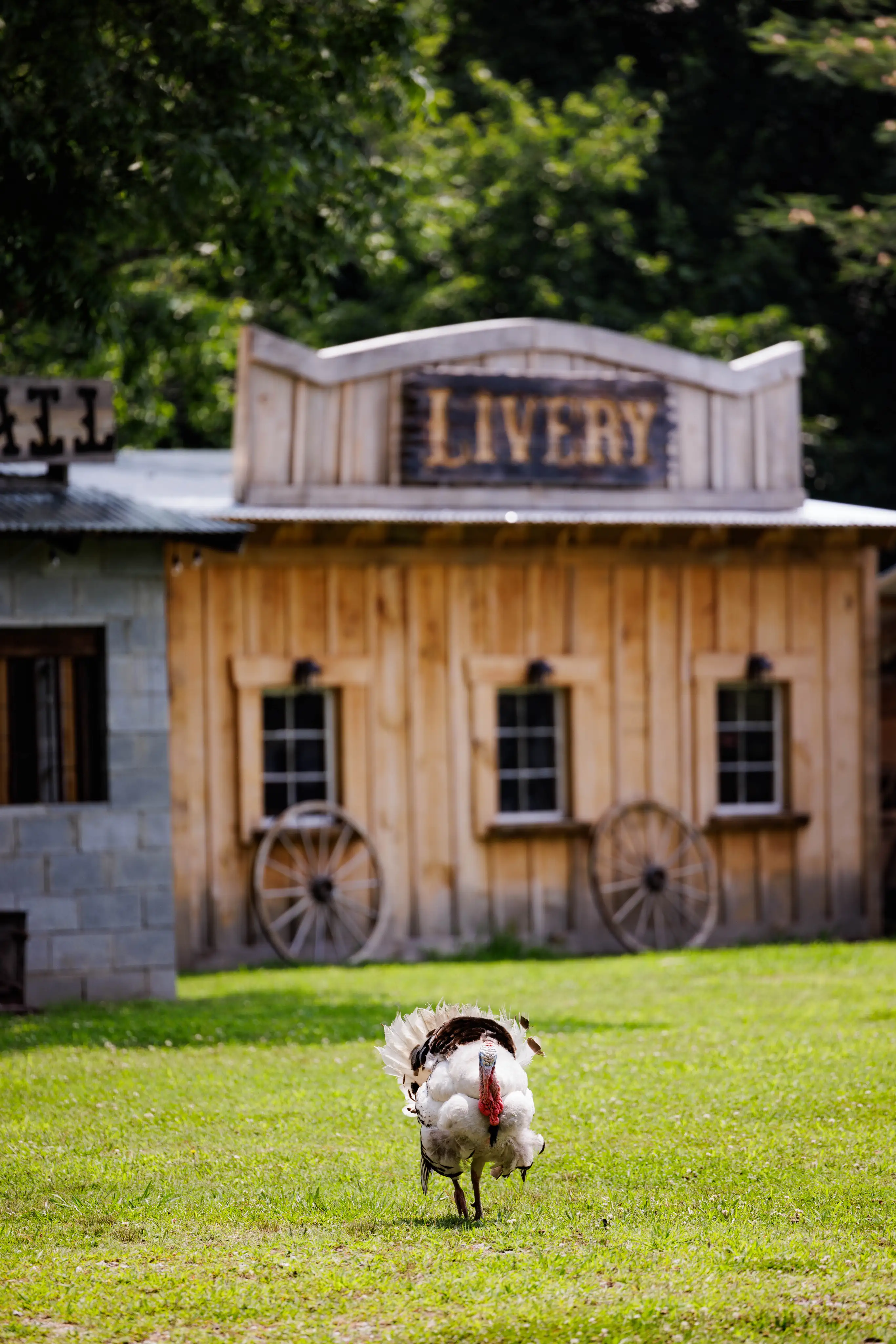 Ranch barn scene for photo shoots