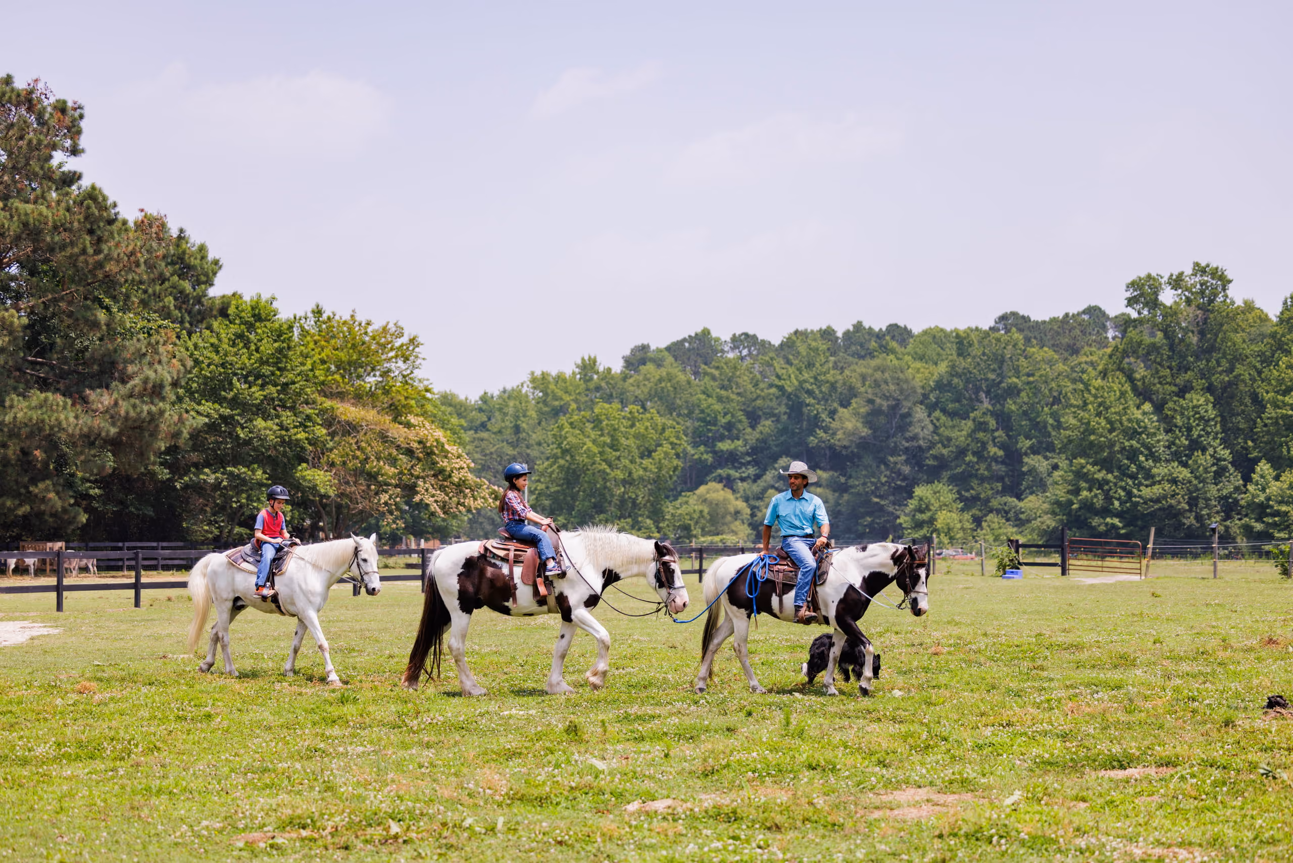 Two children and a guide in a cowboy hat ride horses across a green pasture, with a small dog walking beside them.