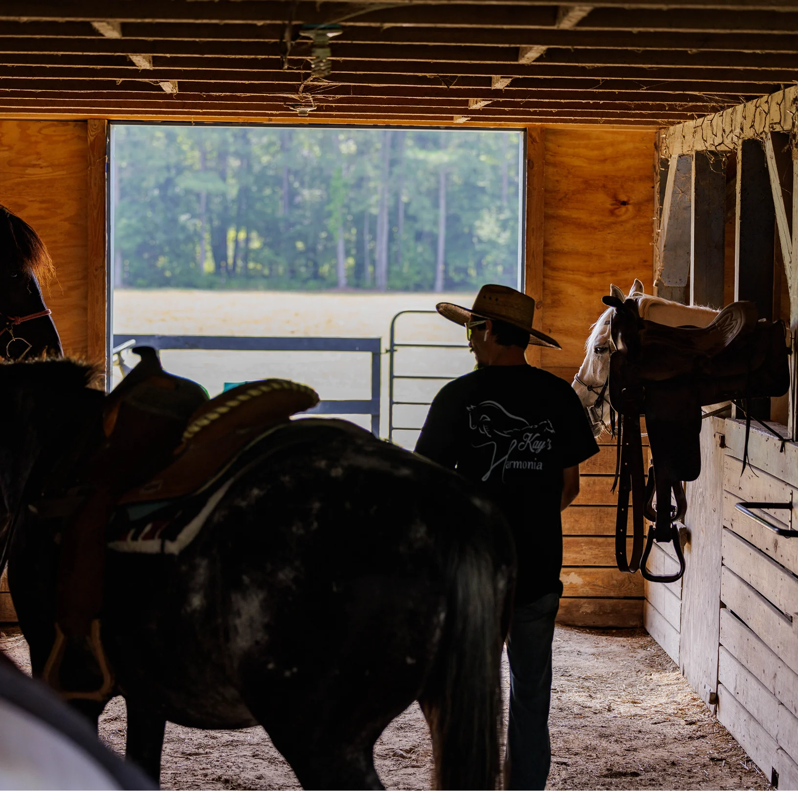 A ranch hand in a straw cowboy hat looks out a wooden barn aisle toward a sunlit pasture, with saddled horses nearby.