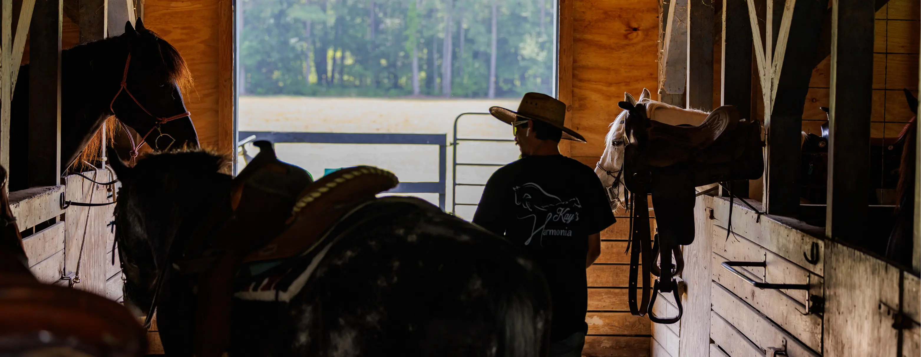 A ranch hand in a straw hat stands in a wooden barn aisle looking out toward a bright pasture, with horses in stalls.