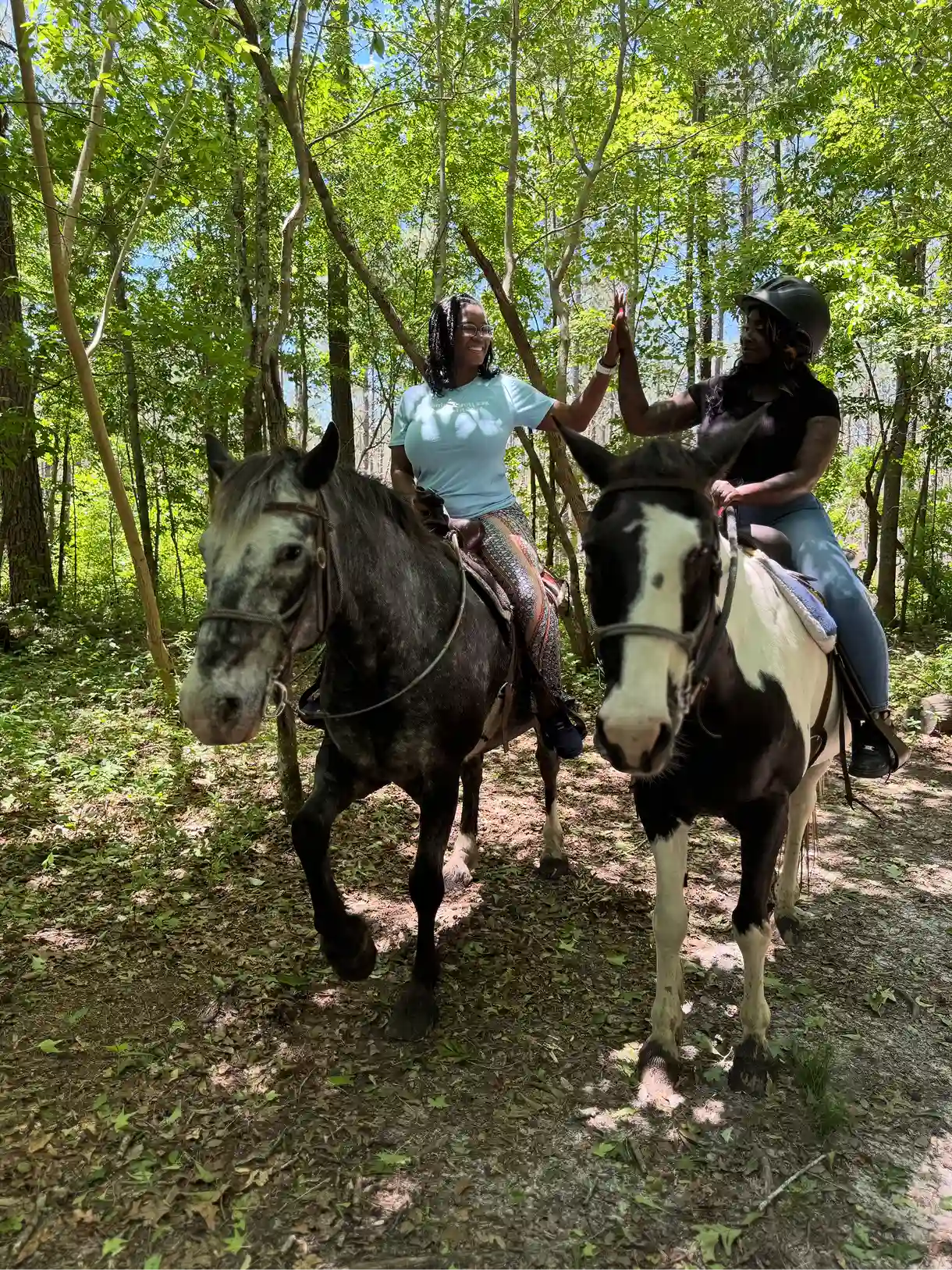 Two women on horseback share a high-five on a sun-dappled forest trail.