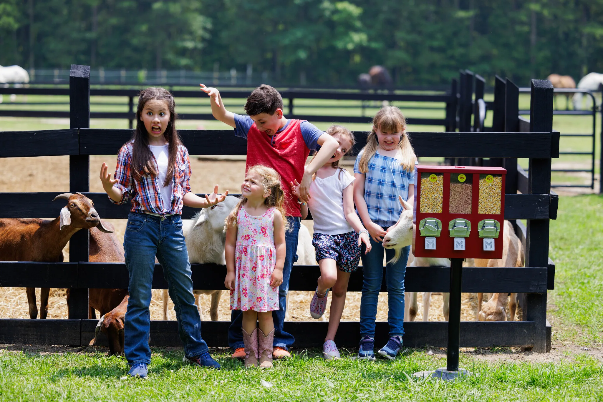 Five children react with surprise and smiles beside a goat enclosure and a red feed dispenser.