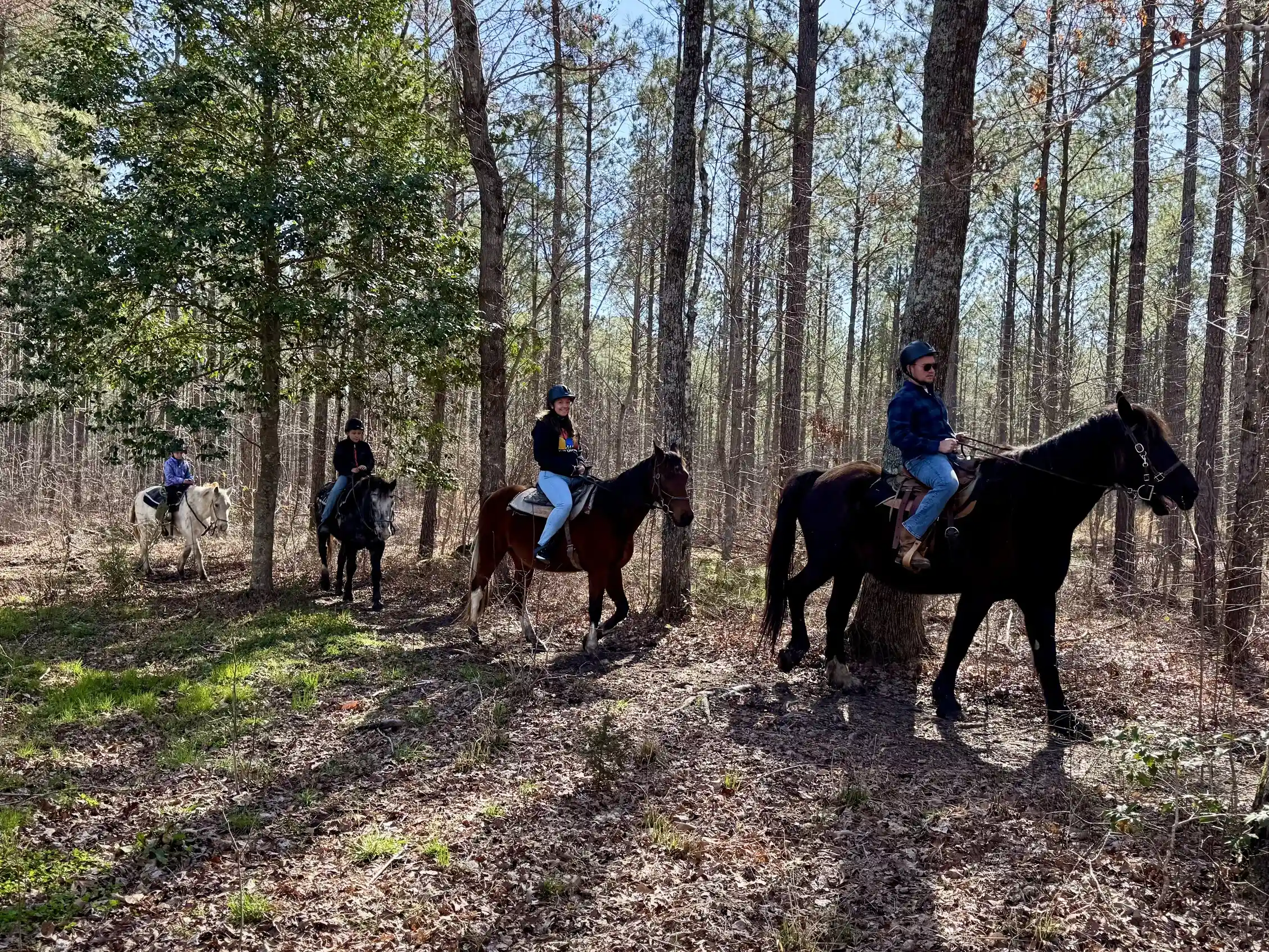 Four riders travel single file along a sunlit forest trail, led by a man on a black horse.