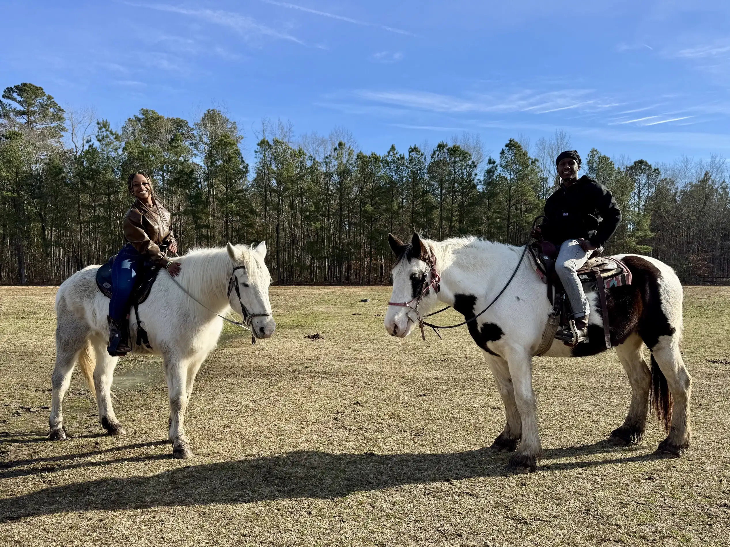 A woman on a white horse and a man on a black-and-white horse stand in a sunny field before pine trees.