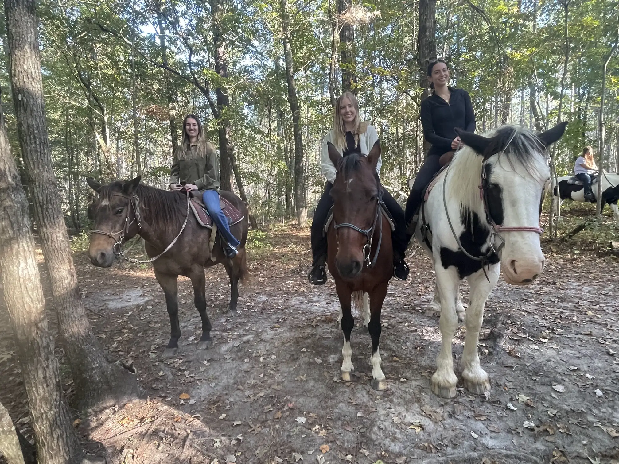 Three women pose on horseback on a forest trail, including a black-and-white piebald horse.