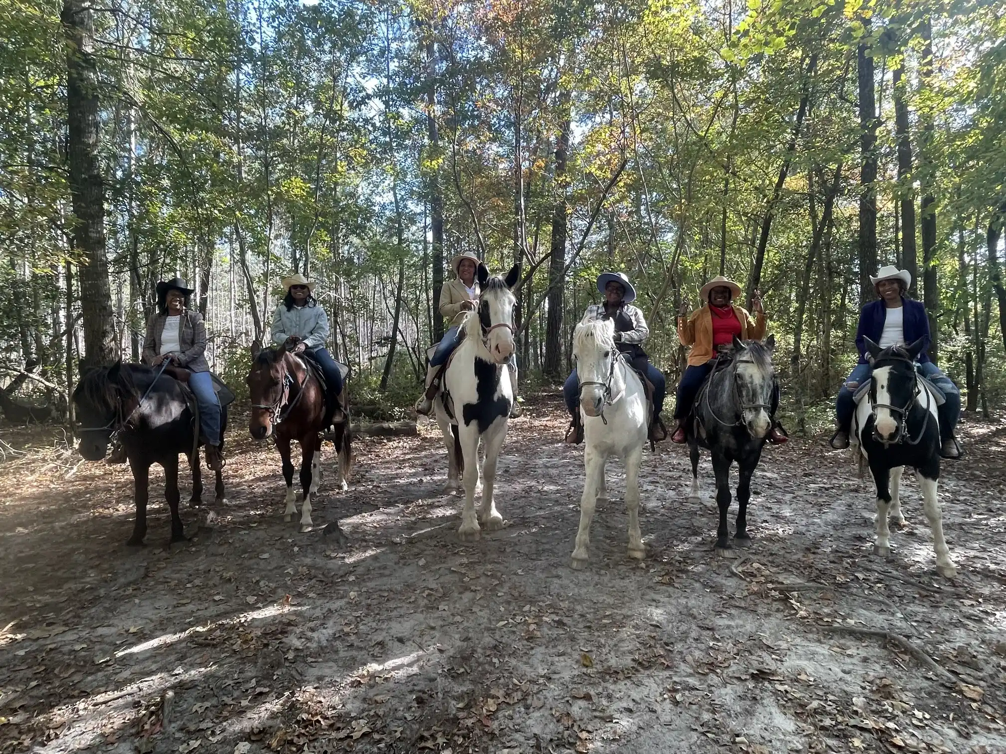 Six women in cowboy hats pose on horses of mixed colors along a sun-dappled forest trail.