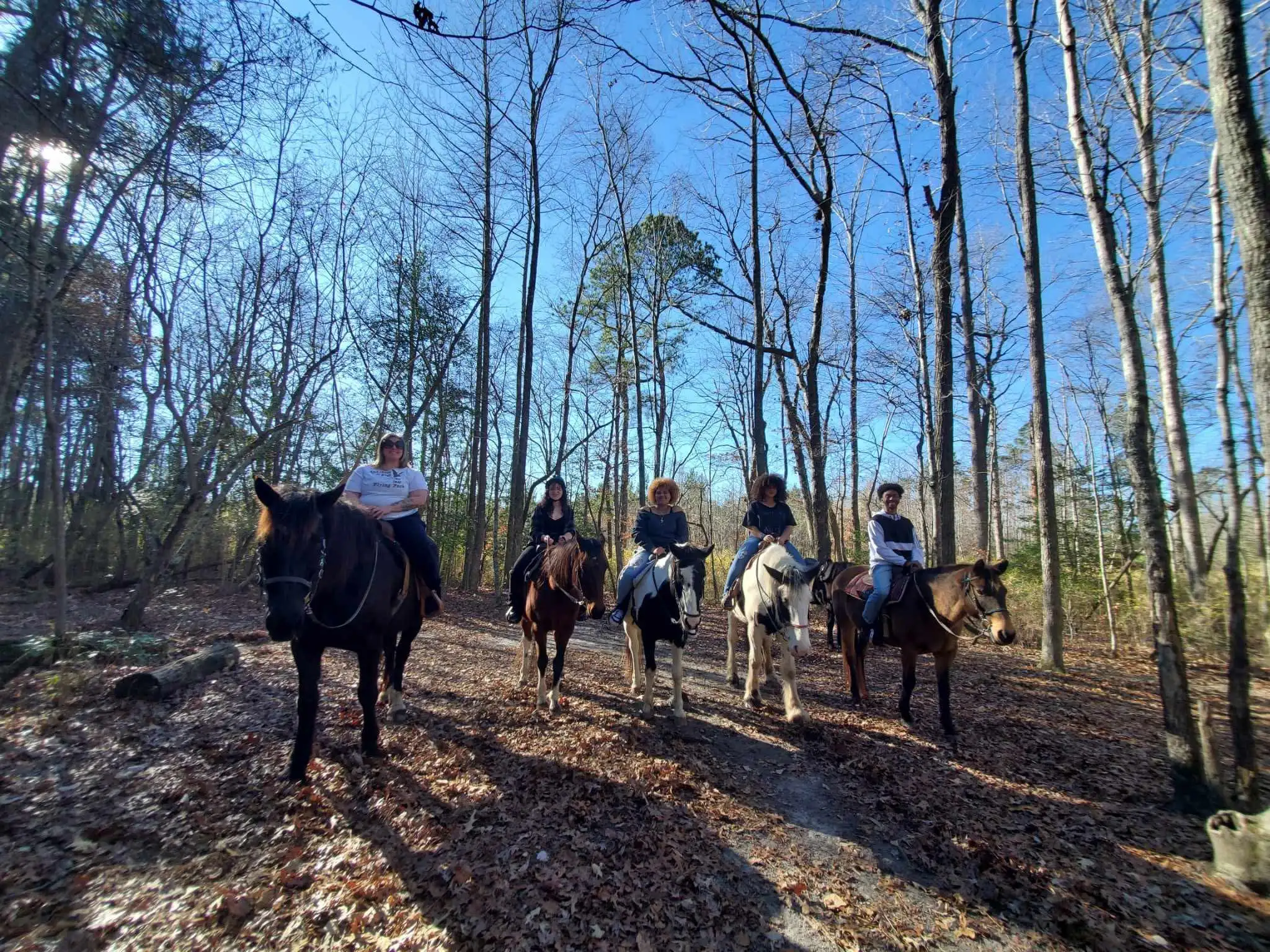 Five riders approach the camera on a leaf-covered forest path under a clear blue sky.